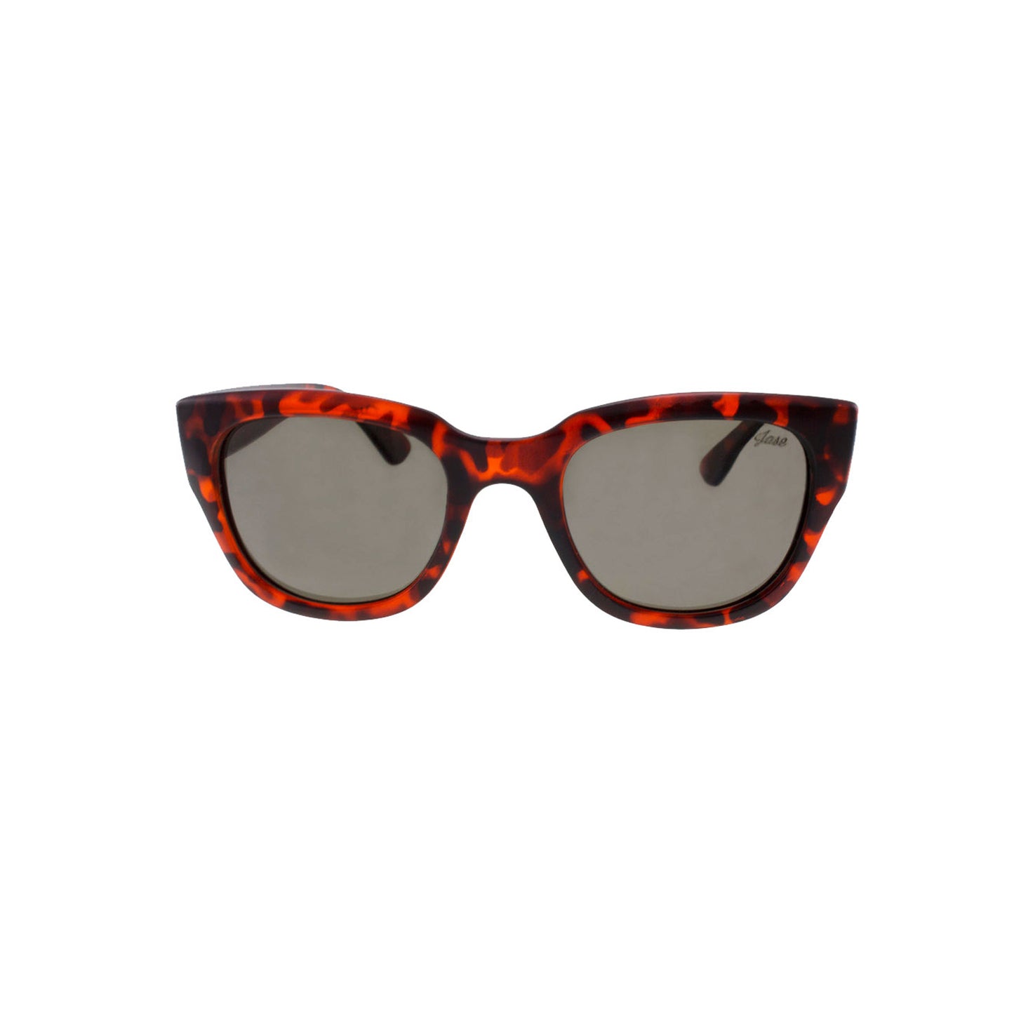 Jase New York Delano Sunglasses in Havana